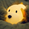 Veilleuse Chien