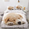 Parure de lit chiot roux qui dort