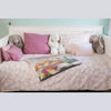 Plaid gris Pat Patrouille
