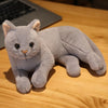 Peluche Chat Bébé - Le Royaume du Bébé