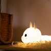 Veilleuse Led Lapin